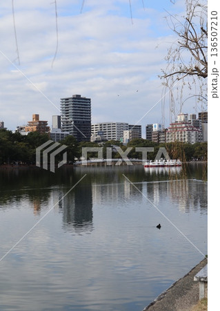 2024年・福岡・福岡市・風景・中央区大濠公園・大濠公園・其の十七 2024年・福岡・福岡市・風景・中央区大濠公園・大濠公園・其の十七 136507210