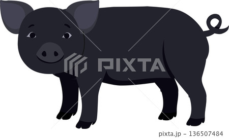 Black Pig Cartoon Farm Animal Character Flat Design Illustration for Agriculture Concept 136507484