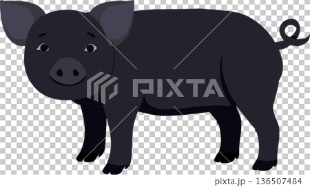 Black Pig Cartoon Farm Animal Character Flat Design Illustration for Agriculture Concept 136507484