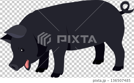 Stylized domestic black pig representing livestock and rural farm life,side view.  for agriculture projects 136507485