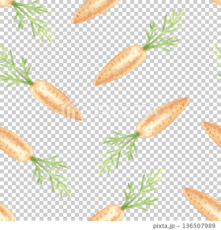 Fresh carrots with leaves seamless pattern for Easter backgrounds and childrens prints. Hand drawn watercolor illustration. Pastel clip art for wrapping paper, fabric and scrapbooking. Fresh carrots with leaves seamless pattern for Easter backgrounds and childrens prints. Hand drawn watercolor illustration. Pastel clip art for wrapping paper, fabric and scrapbooking. 136507989