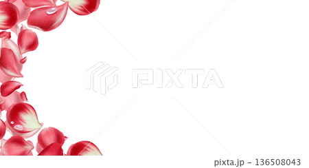 Semicircle floral template of red rose petals with fresh morning dew drops.Painted in soft watercolor with delicate textures,elegant design for romantic branding,wedding decor,luxury paper goods 136508043