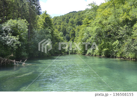 Pristine River Flowing Through Lush Green Forest in Kamacnik 136508155
