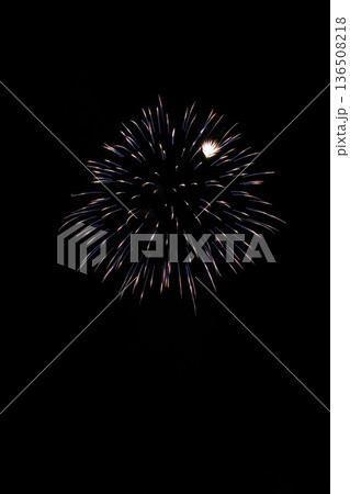 伊東温泉海の花火大会 136508218