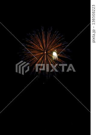 伊東温泉海の花火大会 136508223