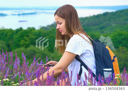 Pretty young woman picking a bouquet of medic herbs. Lilac flowers and greenery Pretty young woman picking a bouquet of medic herbs. Lilac flowers and greenery 136508363