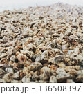 カカオ豆を焙煎して砕き、砂糖を糖衣させました 136508397