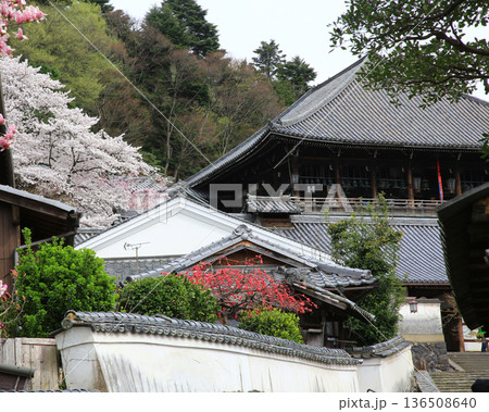 奈良公園 東大寺 桜 奈良公園 東大寺 桜 136508640
