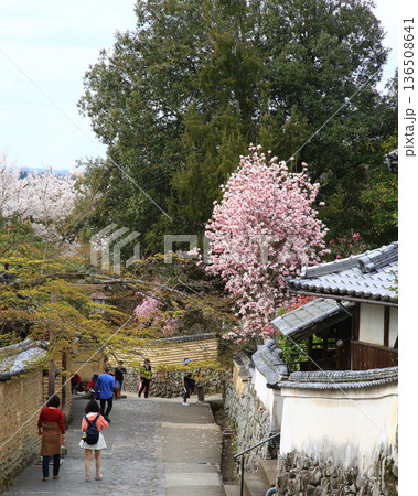 奈良公園 東大寺 桜 奈良公園 東大寺 桜 136508641