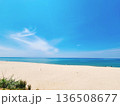 白い浜辺、青い空と海。ビーチに座って何を話してるの？ 136508677