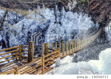 埼玉県 冬の奥秩父 尾ノ内渓谷の氷柱 136508717