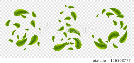 Green leaves flying, realistic 3d tea leaf falling, dynamic blur motion. Foliage whirl in air for fresh herbal organic poster, banner. Tea leaves scattering, eco bio packaging. Vector isolated set 136508777