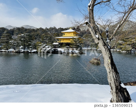 雪化粧した金閣寺 136509015