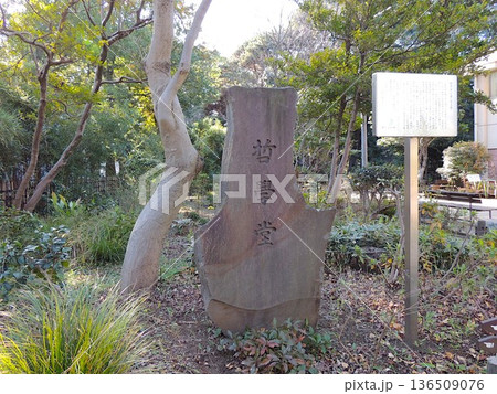 哲学堂公園 哲学堂公園 136509076