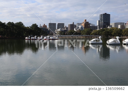 2024年・福岡・福岡市・風景・中央区大濠公園・大濠公園・其の二十六 2024年・福岡・福岡市・風景・中央区大濠公園・大濠公園・其の二十六 136509662