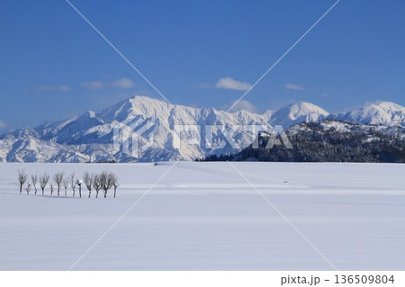 雪原のハサ木・越後三山冬景色 雪原のハサ木・越後三山冬景色 136509804