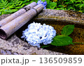水に浮かぶ紫陽花 136509859