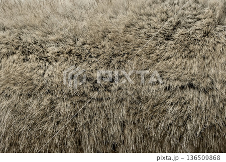 Soft fluffy faux fur texture in warm gray tone Soft fluffy faux fur texture in warm gray tone 136509868