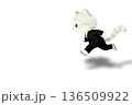 ビジネス猫キャラクターシリーズ｜急ぐ・納期・スピード感イメージ（白背景・コピースペースあり） 136509922