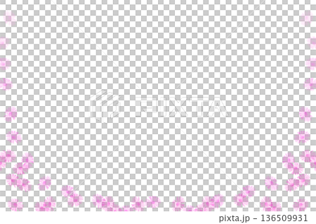 Dark blue frame with pink purple aster flowers Dark blue frame with pink purple aster flowers 136509931