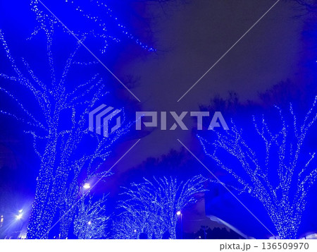 クリスマスイルミネーション クリスマスイルミネーション 136509970