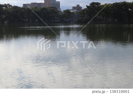 2024年・福岡・福岡市・風景・中央区大濠公園・大濠公園・其の二十八 2024年・福岡・福岡市・風景・中央区大濠公園・大濠公園・其の二十八 136510001