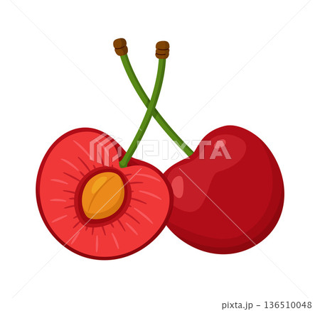 Whole red cherry and half cherry with pit and pulp. Hand drawn trendy flat style Whole red cherry and half cherry with pit and pulp. Hand drawn trendy flat style 136510048