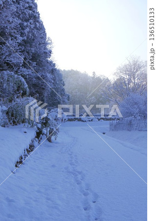 雪のある道 136510133