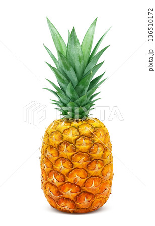 パイナップル イラスト パイン リアル パイナップル イラスト パイン リアル 136510172