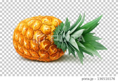 Pineapple illustration pineapple realistic Pineapple illustration pineapple realistic 136510176