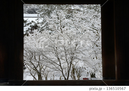 雪の南禅寺　三門から境内を望む　京都市左京区 136510567