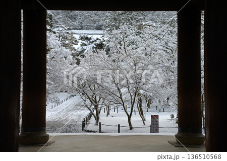 雪の南禅寺 三門から境内を望む 京都市左京区 雪の南禅寺 三門から境内を望む 京都市左京区 136510568