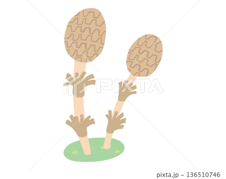 まるっこい つくし 主線なし 136510746