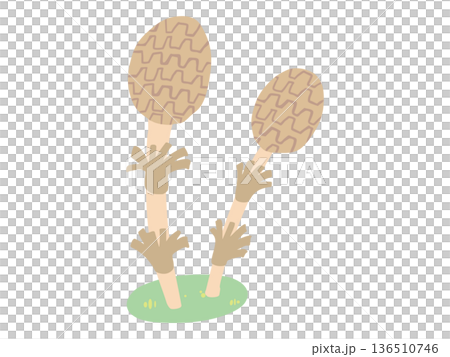 まるっこい つくし 主線なし 136510746