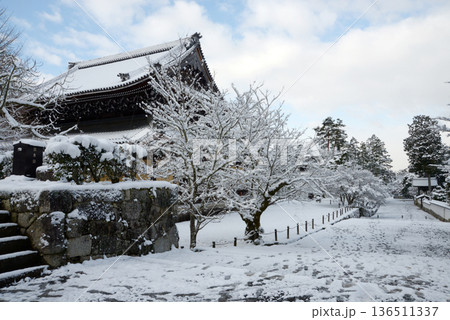 雪の南禅寺　法堂と参道　京都市左京区 136511337