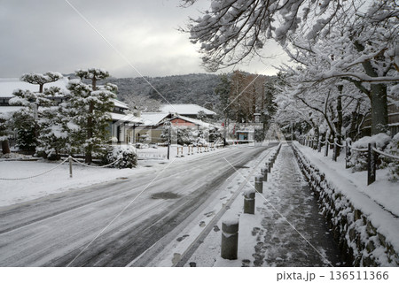 雪の南禅寺 表参道 京都市左京区 雪の南禅寺 表参道 京都市左京区 136511366
