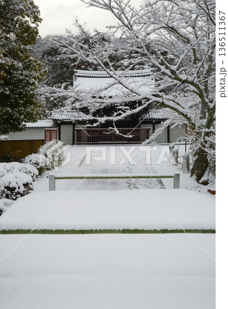 雪の南禅寺　参道と勅使門　京都市左京区 136511367