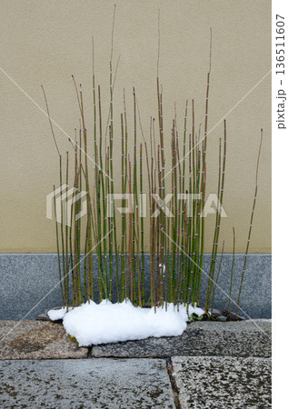 街角の風景　スケッチ写真 136511607