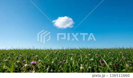 Vast blue sky with a single fluffy white cloud over a vibrant green meadow with small purple flowers Vast blue sky with a single fluffy white cloud over a vibrant green meadow with small purple flowers 136511660