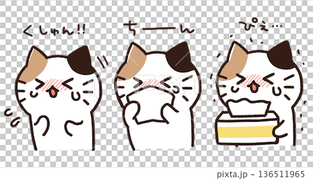 Cat with hay fever Cat with hay fever 136511965