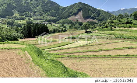 五月晴れの青空が映える新緑の栃又棚田〈宮崎県西臼杵郡高千穂町〉 五月晴れの青空が映える新緑の栃又棚田〈宮崎県西臼杵郡高千穂町〉 136512048