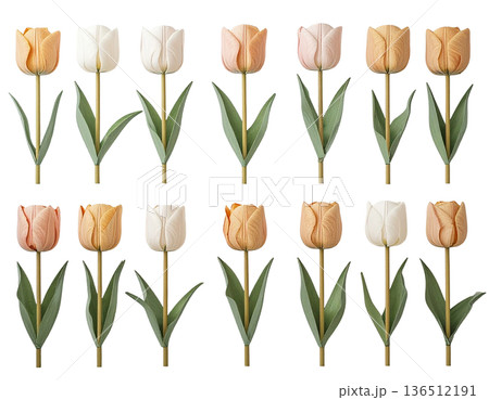 白背景に配置された形の異なるチューリップのセット 136512191
