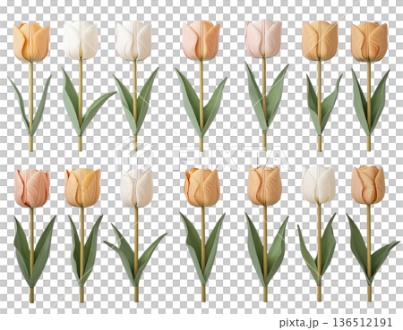 白背景に配置された形の異なるチューリップのセット 136512191