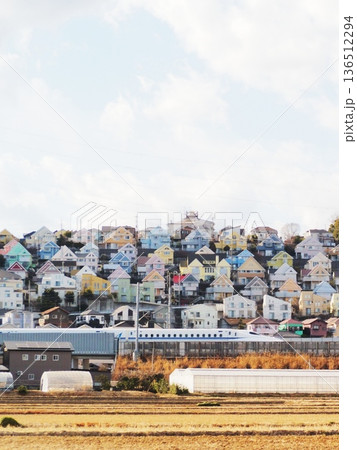 神奈川県　カラフルな住宅地と疾走する新幹線　1月 136512294