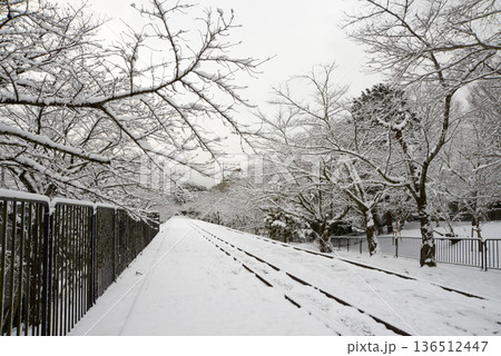 雪のインクライン　京都市左京区 136512447