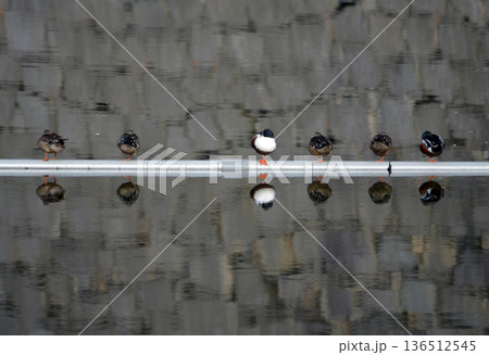 街角の風景　スケッチ写真 136512545