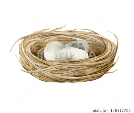 Bird nest with eggs. Wicker boho vintage rustic shabby chic decoration item. Watercolor hand drawn illustration isolated on white background in rural style for Easter spring design cottagecore poster Bird nest with eggs. Wicker boho vintage rustic shabby chic decoration item. Watercolor hand drawn illustration isolated on white background in rural style for Easter spring design cottagecore poster 136512700