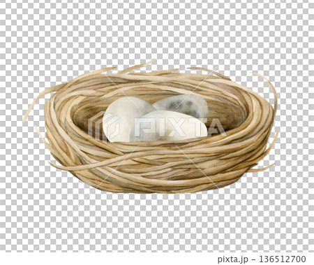 Bird nest with eggs. Wicker boho vintage rustic shabby chic decoration item. Watercolor hand drawn illustration isolated on white background in rural style for Easter spring design cottagecore poster Bird nest with eggs. Wicker boho vintage rustic shabby chic decoration item. Watercolor hand drawn illustration isolated on white background in rural style for Easter spring design cottagecore poster 136512700
