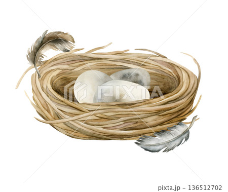 Bird nest with eggs. Wicker boho vintage rustic shabby chic decoration item. Watercolor hand drawn illustration isolated on white background in rural style for Easter spring design cottagecore poster Bird nest with eggs. Wicker boho vintage rustic shabby chic decoration item. Watercolor hand drawn illustration isolated on white background in rural style for Easter spring design cottagecore poster 136512702
