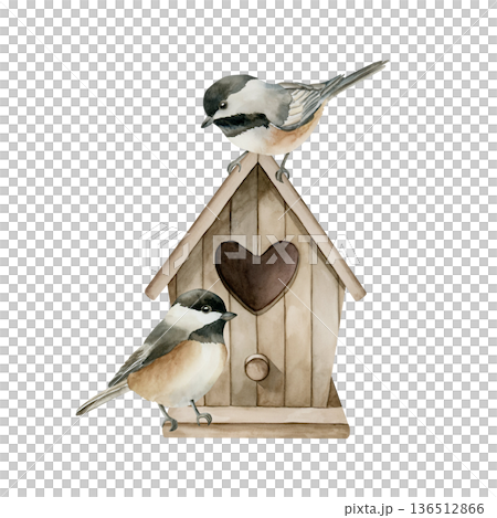 Wooden birdhouse with birds Vintage nesting box with heart shaped hole Black capped Chickadee. Watercolor hand drawn illustration isolated on white background Easter decor spring design cottagecore Wooden birdhouse with birds Vintage nesting box with heart shaped hole Black capped Chickadee. Watercolor hand drawn illustration isolated on white background Easter decor spring design cottagecore 136512866